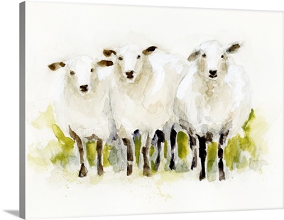 Watercolor Sheep Trio I