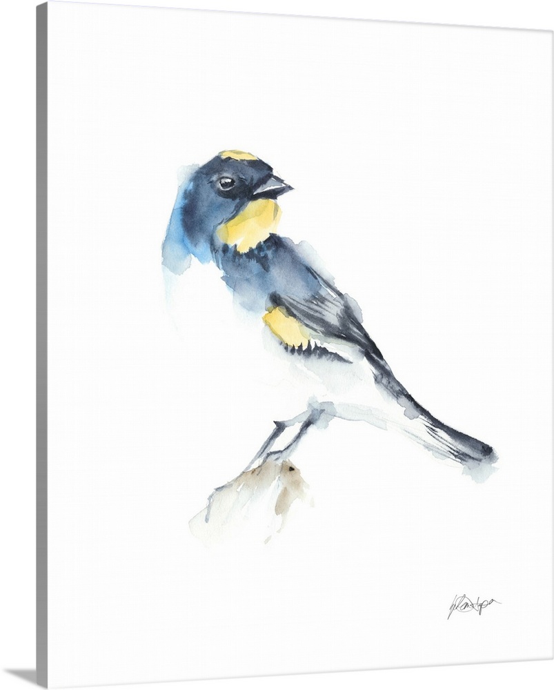 Watercolor Songbirds III