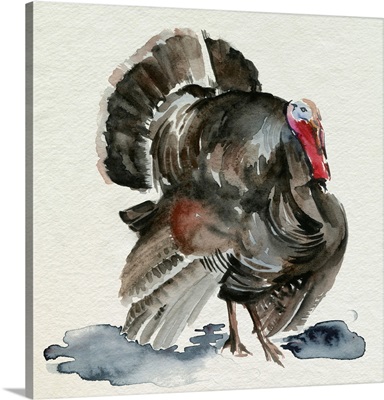 Watercolor Turkey I
