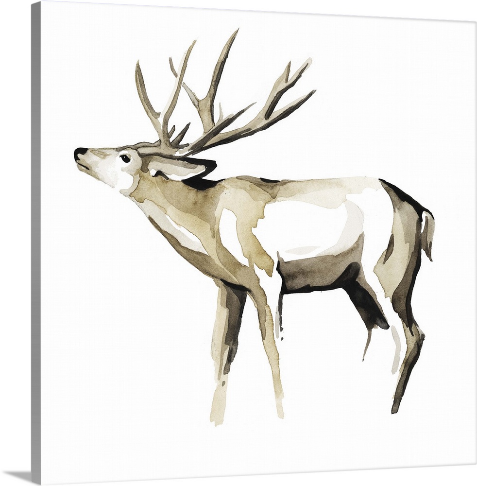 Watercolor painting of an elk against a white background.