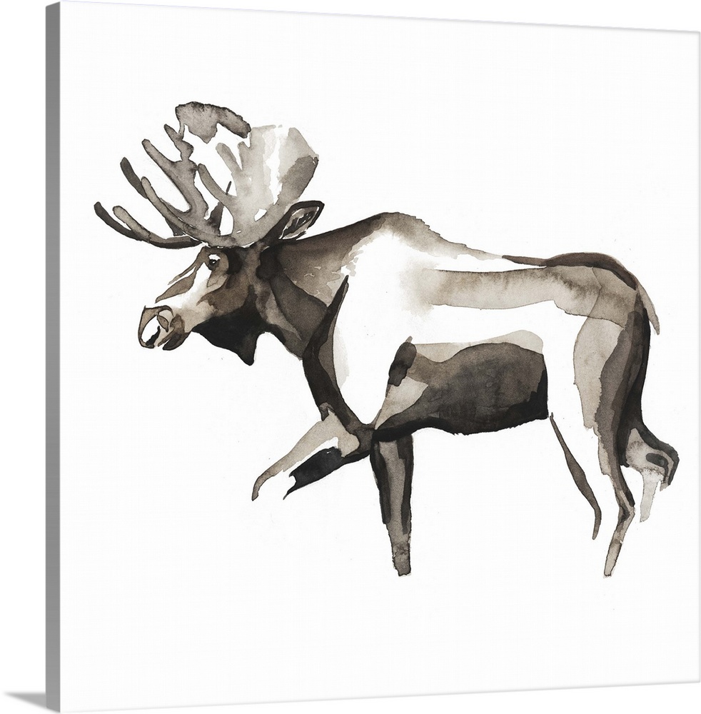 Watercolor painting of a moose  against a white background.
