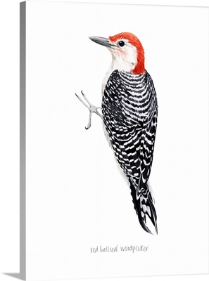 Watercolor Woodpecker III