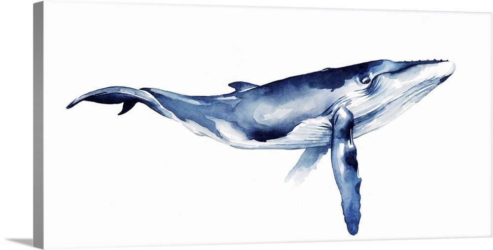 Contemporary watercolor painting of a whale against a white background.