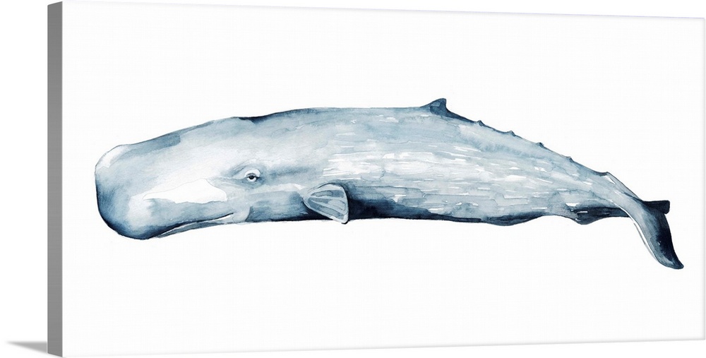 Contemporary watercolor painting of a whale against a white background.