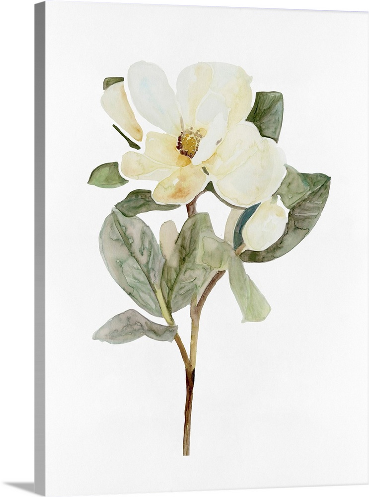 White Blossom VI