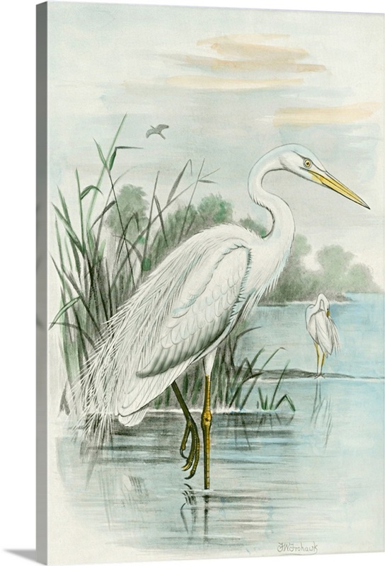 White Heron Wall Art, Canvas Prints, Framed Prints, Wall Peels | Great