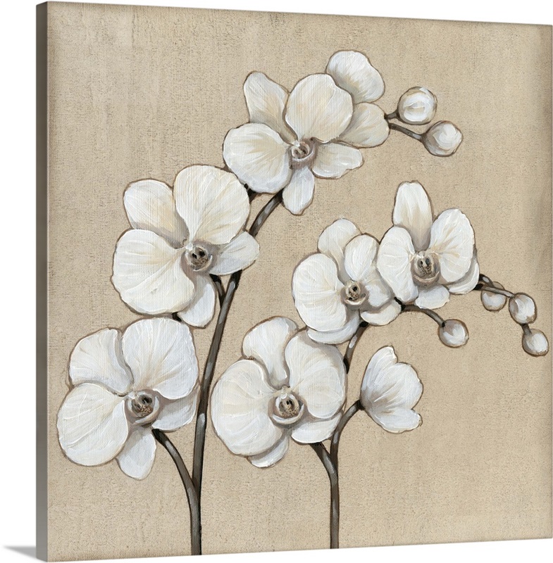 White Orchid II Wall Art, Canvas Prints, Framed Prints, Wall Peels