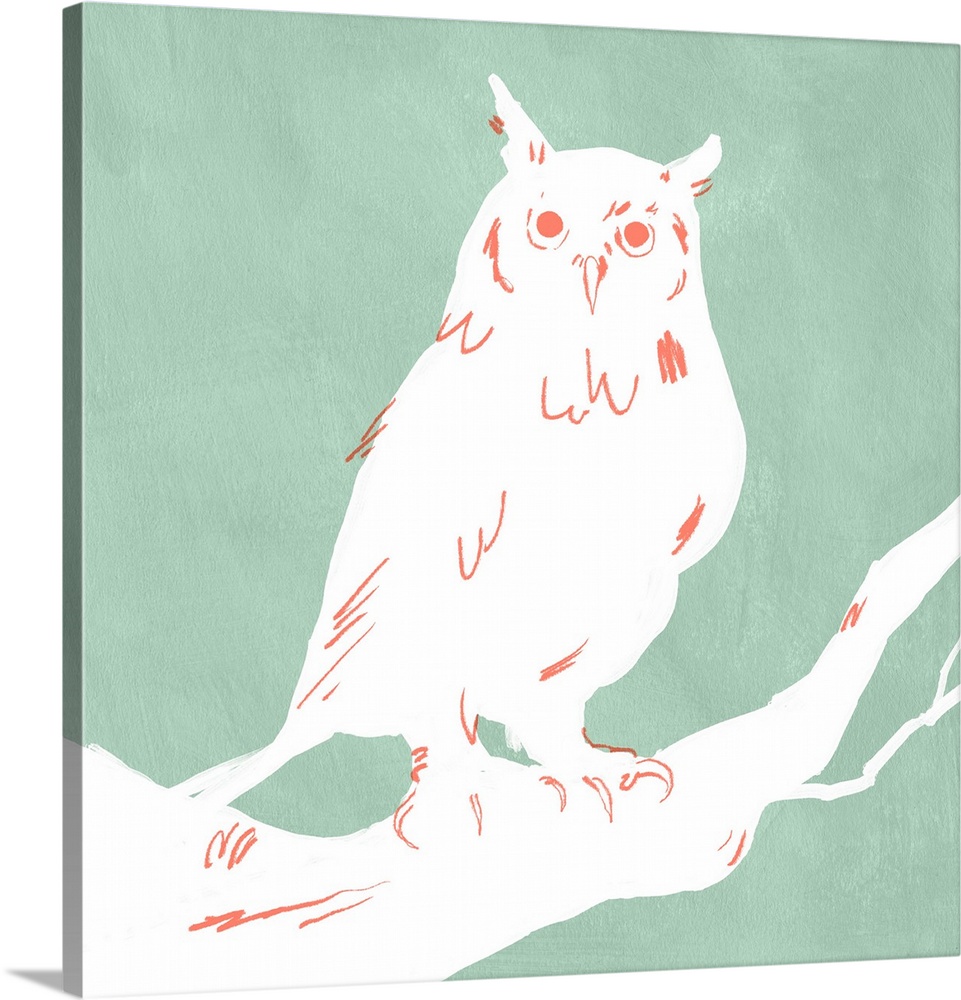 White Owl IV