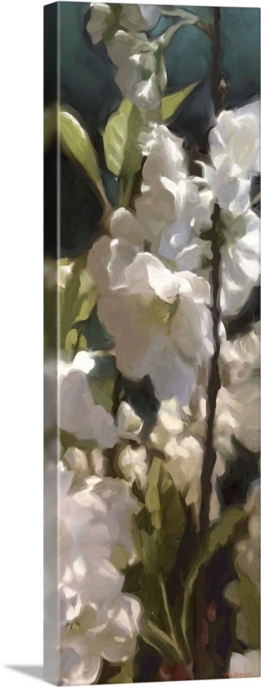 White Roses V