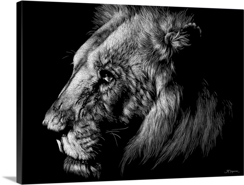 Wildlife Scratchboards I Great Big Canvas
