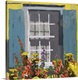 image thumbnail of Colorful painting of a window on a yellow wall with blue shutters.