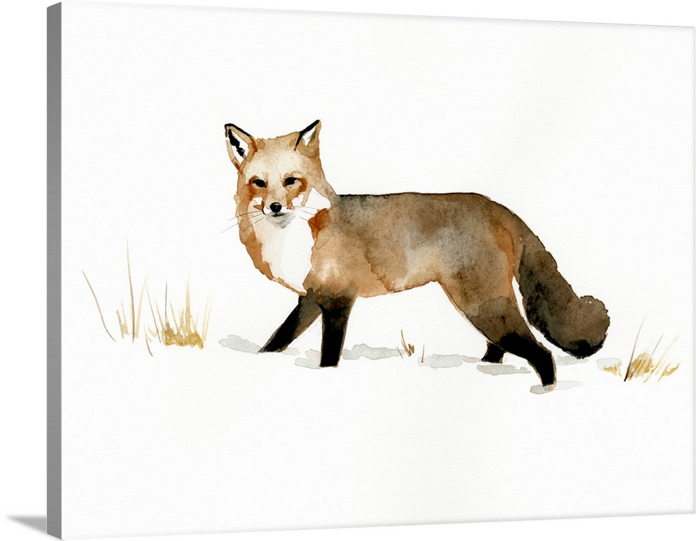 Winter Fox II