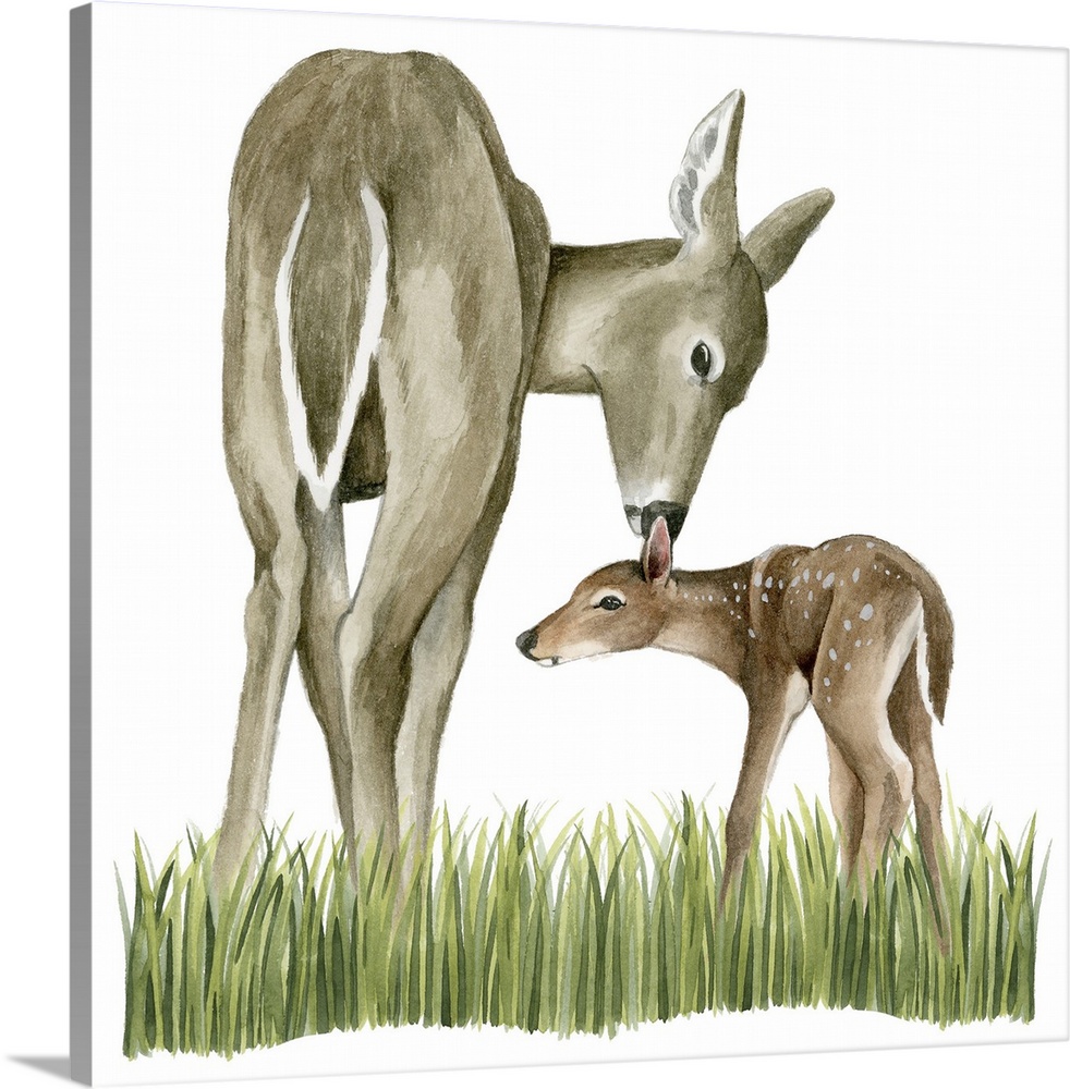 Watercolor portrait of a deer and its fawn on a grassy landscape.