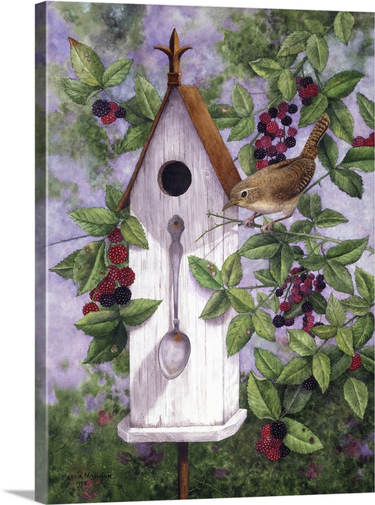 Illustration of a wren perched in a tree near a birdhouse.
