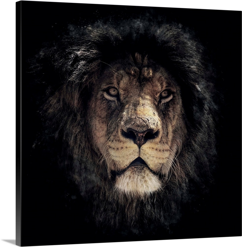 Dark Lion Special Colorized Square