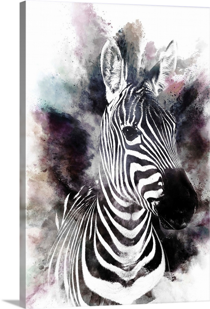 Rainbow Zebra Solid-Faced Canvas Print