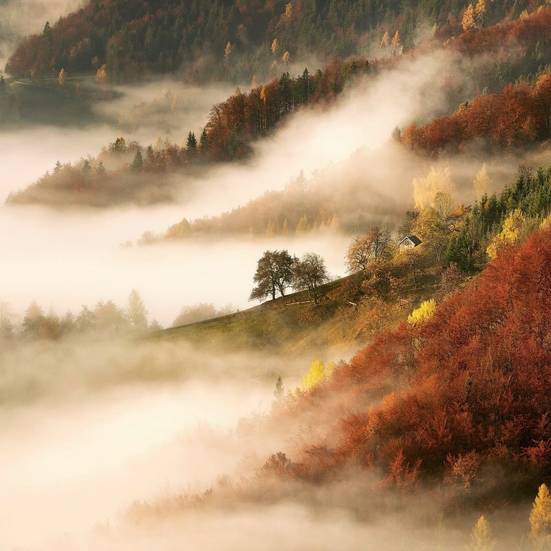 Mist and Fog Wall Art & Canvas Prints | Great Big Canvas