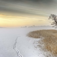 Misty Winter Morning image thumbnail