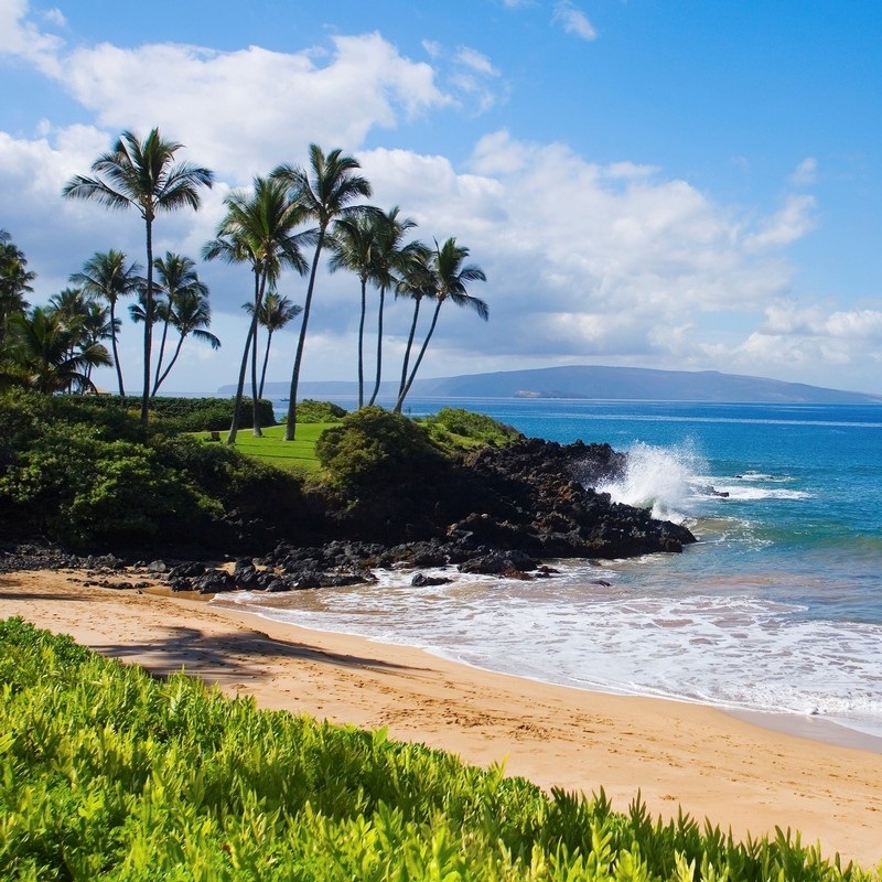 Maui Art - Prints - Paintings & Canvases | Great Big Canvas