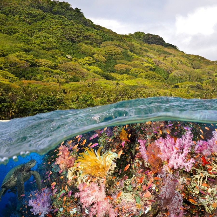 Fiji Island Japan  Landscape Nature Photography Canvas Print Art Decor Wall 