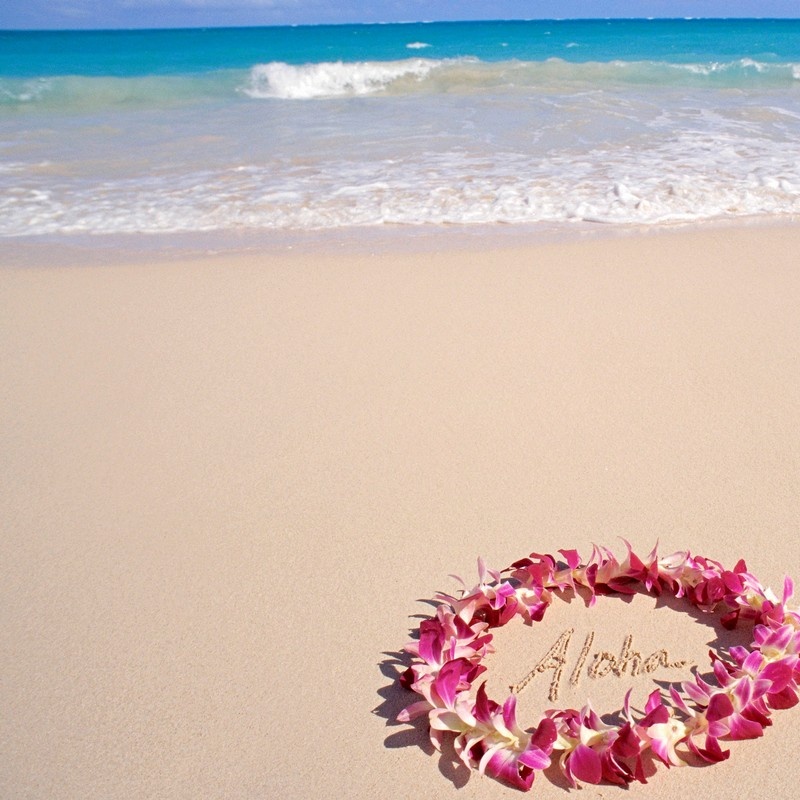 Hawaii, Purple Orchid Lei On Beach, Aloha Written In Sand Wall Art ...