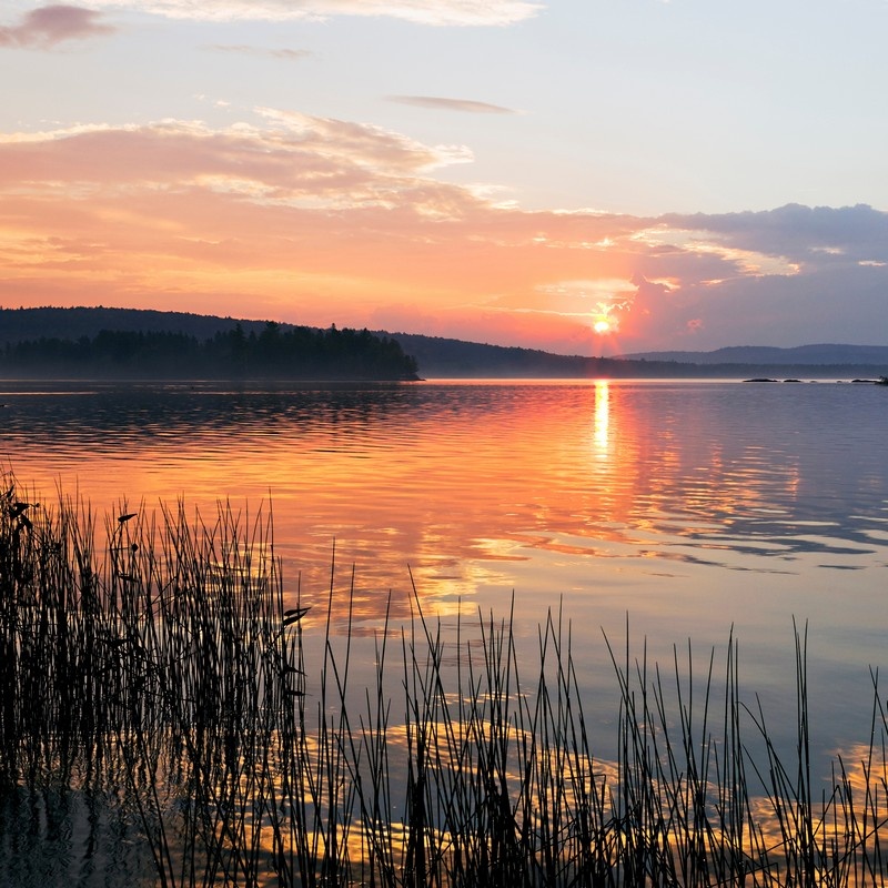 Seascape I Wall Art, Canvas Prints, Framed Prints, Wall Peels Great