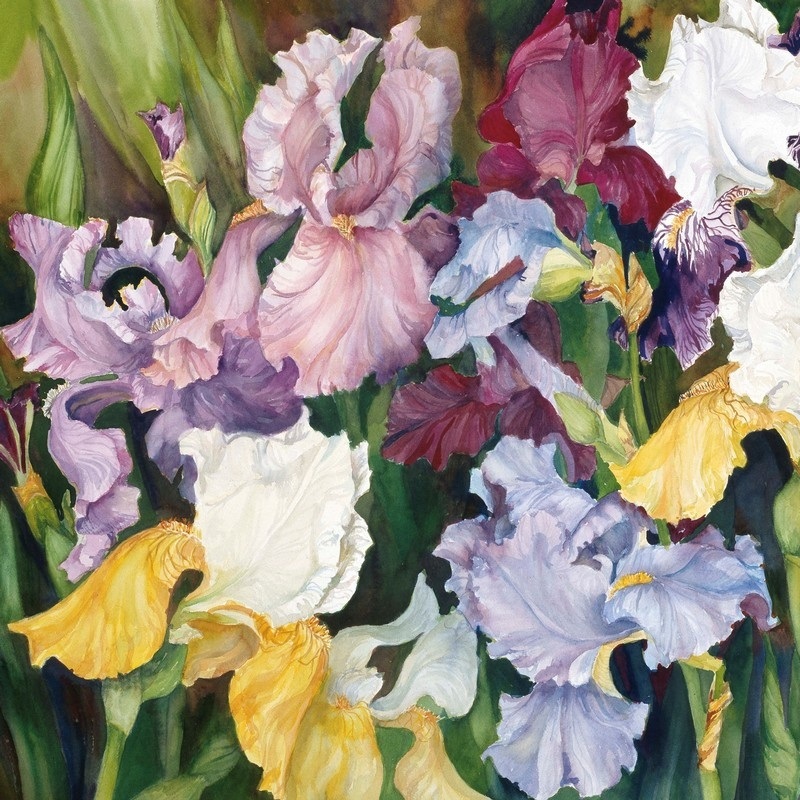 Stems Of Blue Iris by Joanne Porter