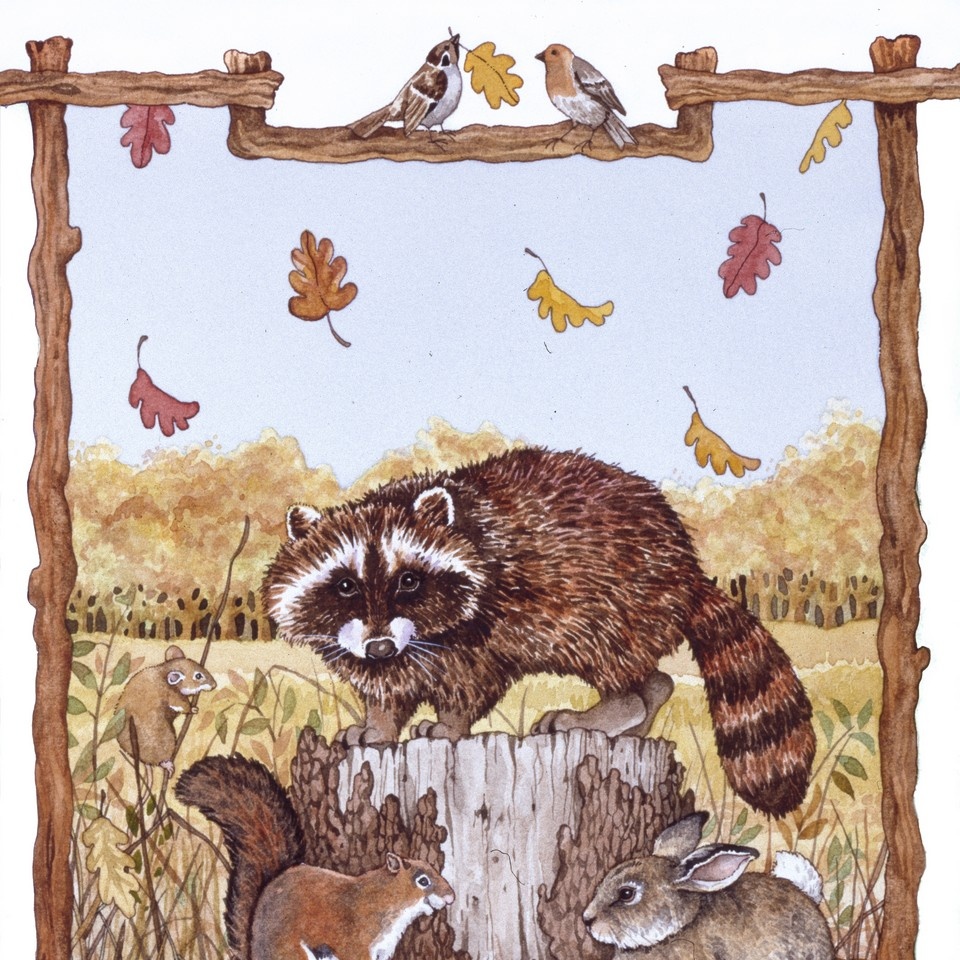 Wild Animal Collage Wall Art, Canvas Prints, Framed Prints, Wall Peels