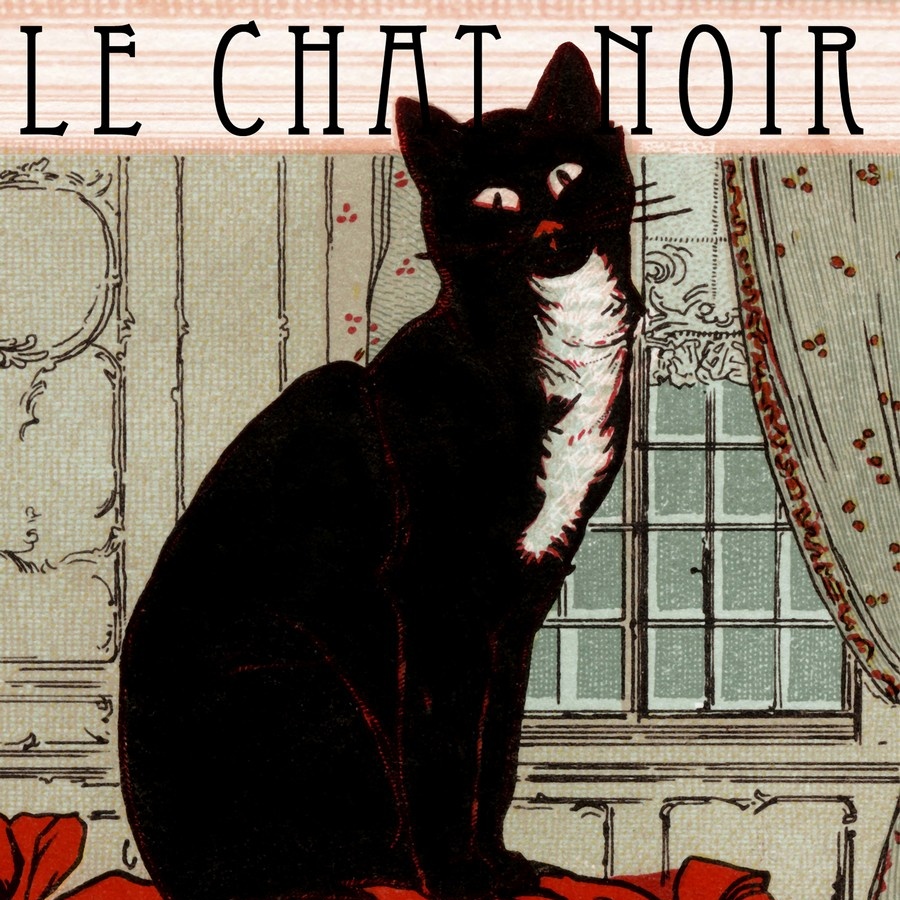 le chat noir poster framed nature le chat noir poster framed nature