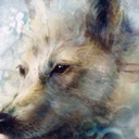 Wolf Canvas Art Prints | Wolf Panoramic Photos, Posters, & More | Great ...