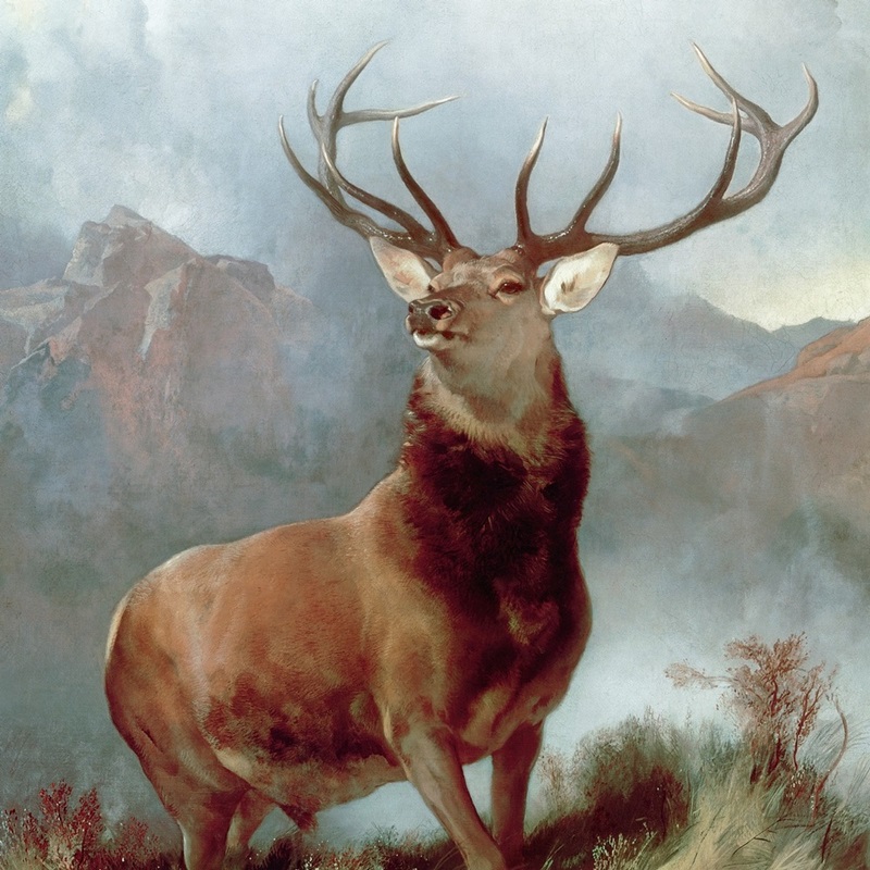 Deer Art - Drawings - Paintings - Prints & Photos | Great Big Canvas