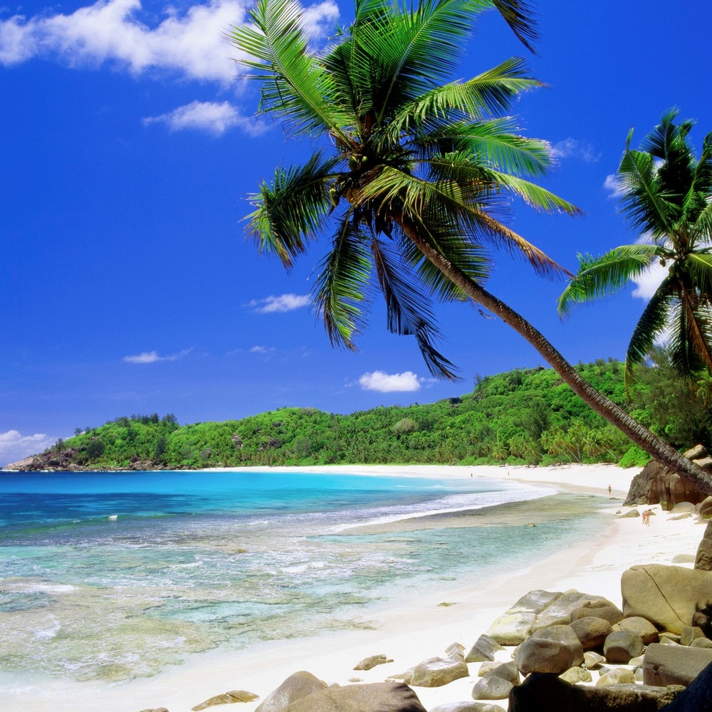 W-7-C3020 Extra Large Pictur Tropical Seychelles Beach 30"x20" Wall Art Canvas 