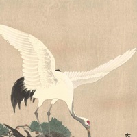 Japanese Crane on Pine Branch, by Ohara Koson, 1900-30 image thumbnail