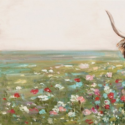 Highland Cow image thumbnail