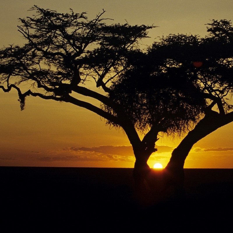 Kenya Wall Art & Canvas Prints Kenya Panoramic Photos, Posters