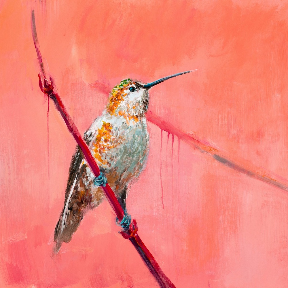 Hummingbird Wall Art Canvas Prints Hummingbird Panoramic