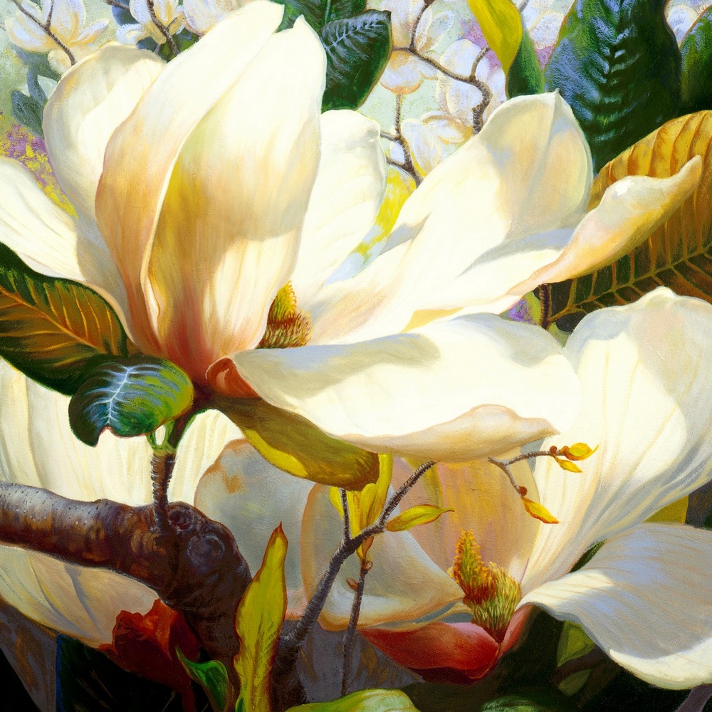 Magnolia Wall Art Canvas Prints Magnolia Panoramic Photos Posters   Fragrant Spring,1111880 