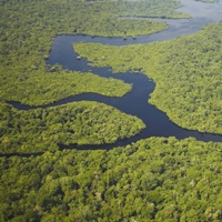 Aerial view of Amazon Rainforest and tributary of Rio Neg... image thumbnail