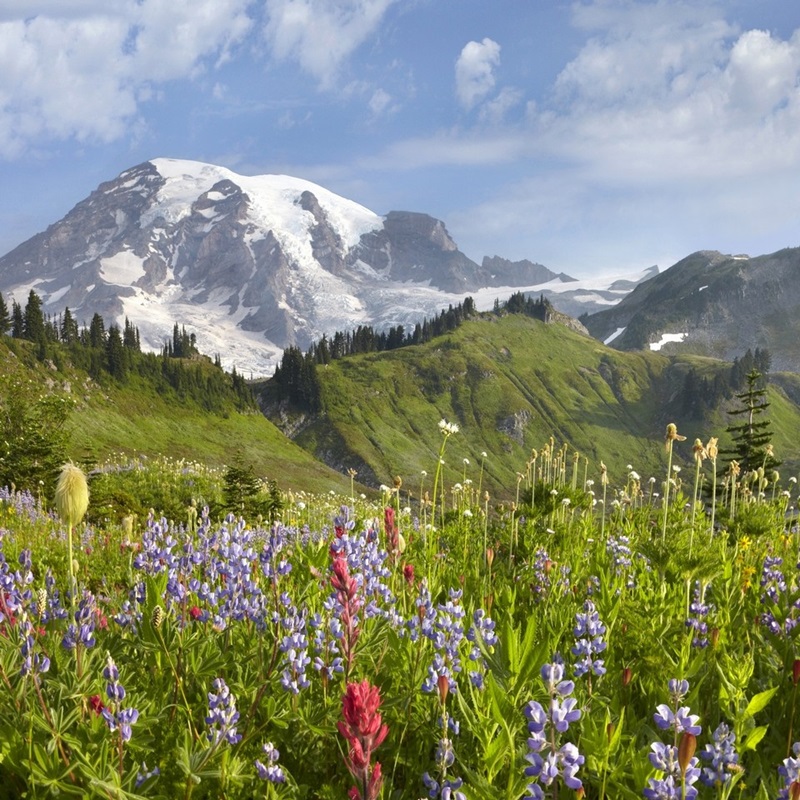 Mount Rainier Wall Art & Canvas Prints | Great Big Canvas