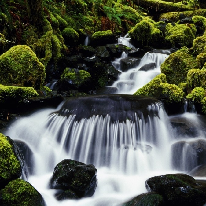 Olympic National Park Wall Art & Canvas Prints | Olympic National Park ...