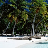 Beach Maldives image thumbnail