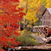 West Virginia, Glade Creek Grist Mill Babcock, St Park, H... image thumbnail