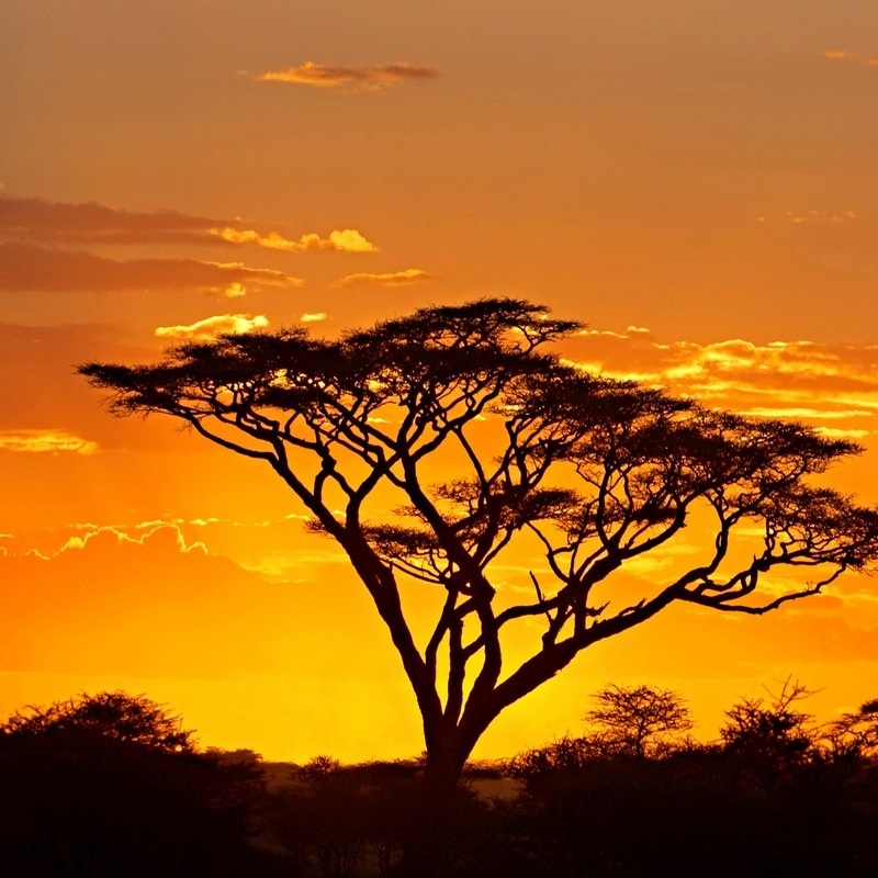 Africa Wall Art & Canvas Prints | Africa Panoramic Photos, Posters ...