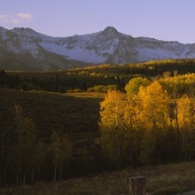 Trees In A Field Near A Wooden Fence Dallas Divide San Juan Mountains Colorado Wall Art Canvas Prints Framed Prints Wall Peels Great Big Canvas