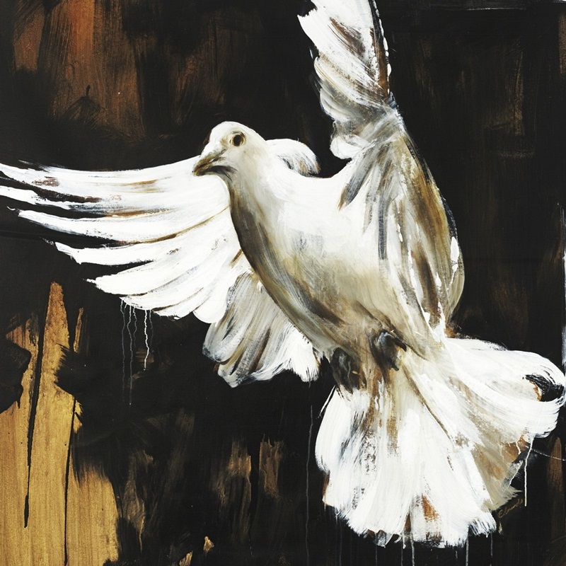 Dove Wall Art & Canvas Prints Dove Panoramic Photos, Posters