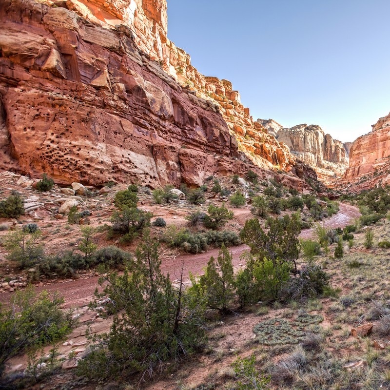 Capitol Reef National Park Wall Art Canvas Prints Great Big Canvas