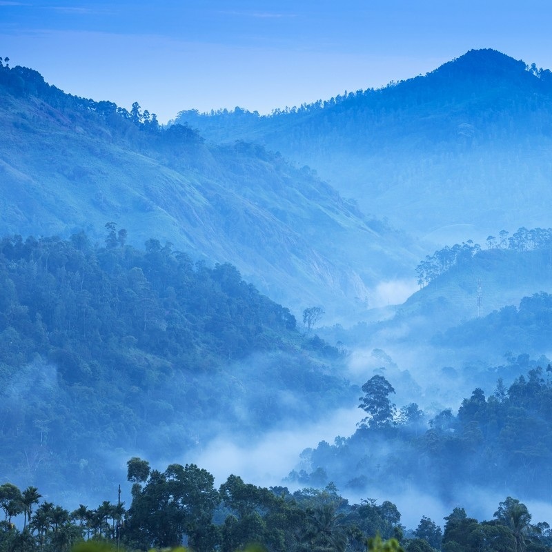 Sri Lanka Wall Art & Canvas Prints Great Big Canvas