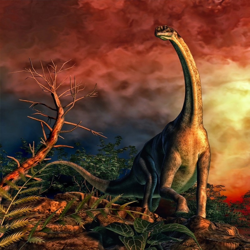 Collection Of Carnivorous Dinosaurs Poster by Elena Duvernay - Pixels