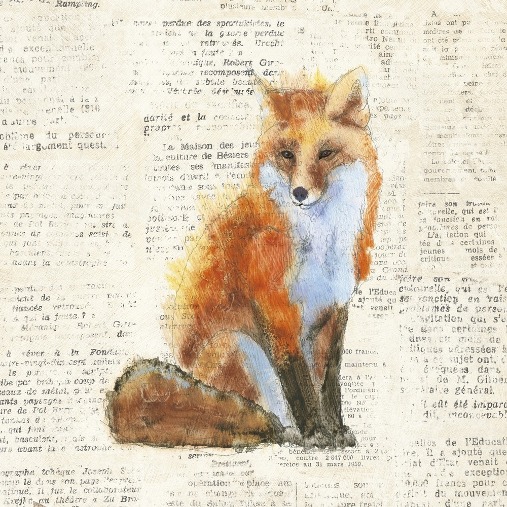 Fox Wall Art Canvas Prints Fox Panoramic Photos Posters