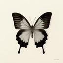 Butterfly Canvas Art Prints | Butterfly Panoramic Photos, Posters ...